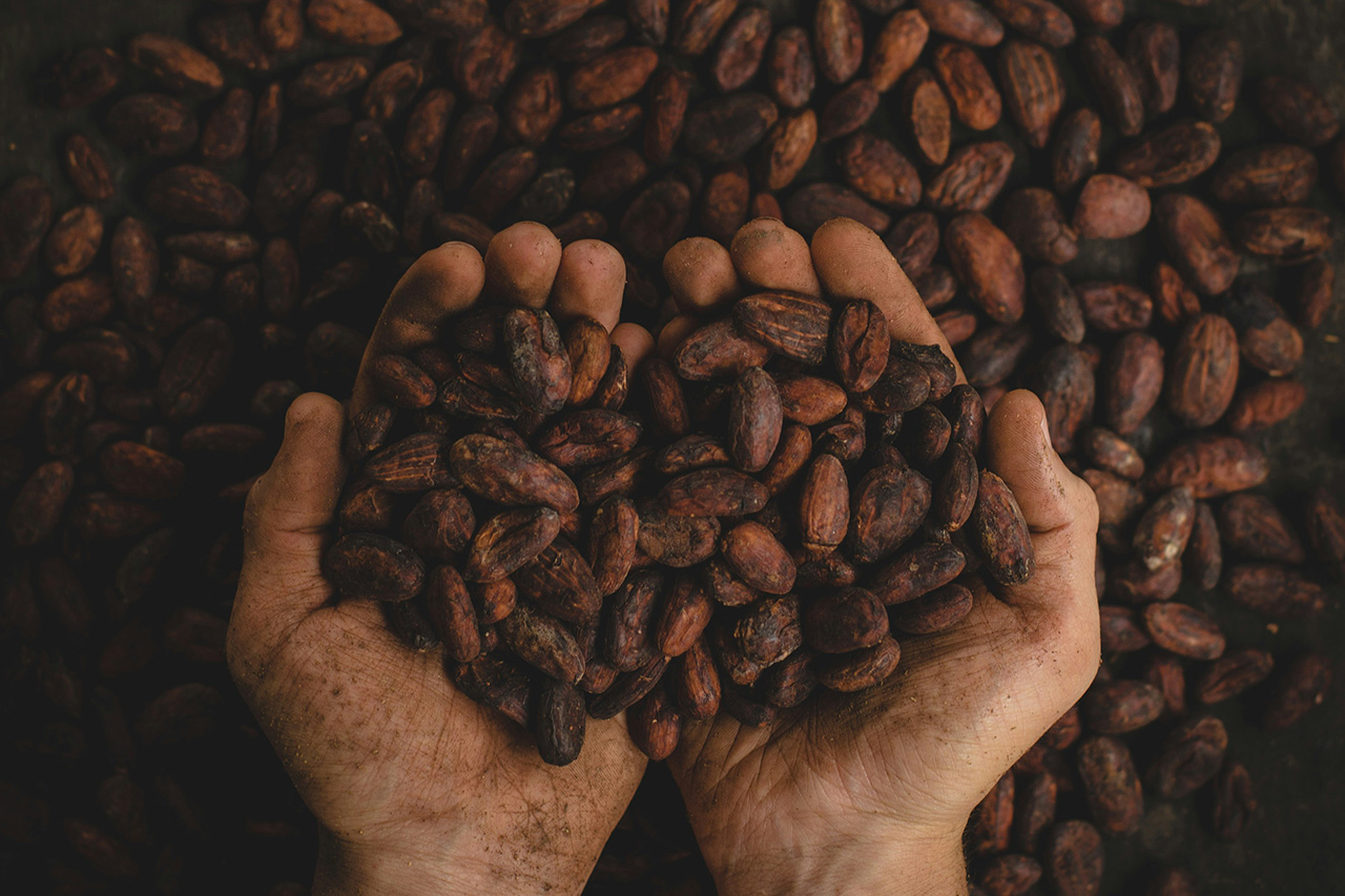 Healing Benefits of Cacao by Amani Spa and Wellness